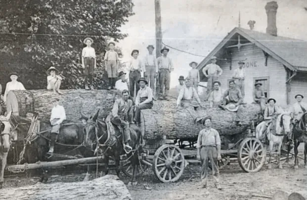 Hooper family members with horse-drawn wagons of logs in front of the Toone depot, early 1900s