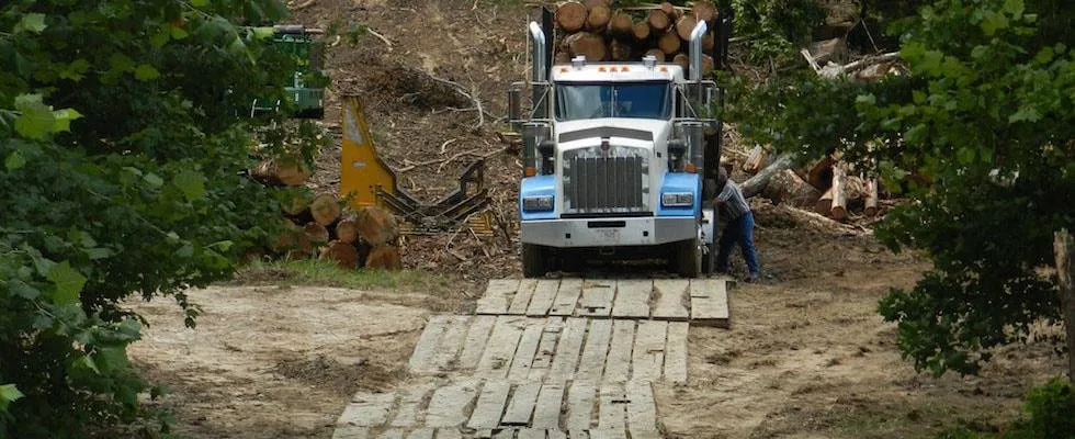 Log truck on timber mats laid over soft ground