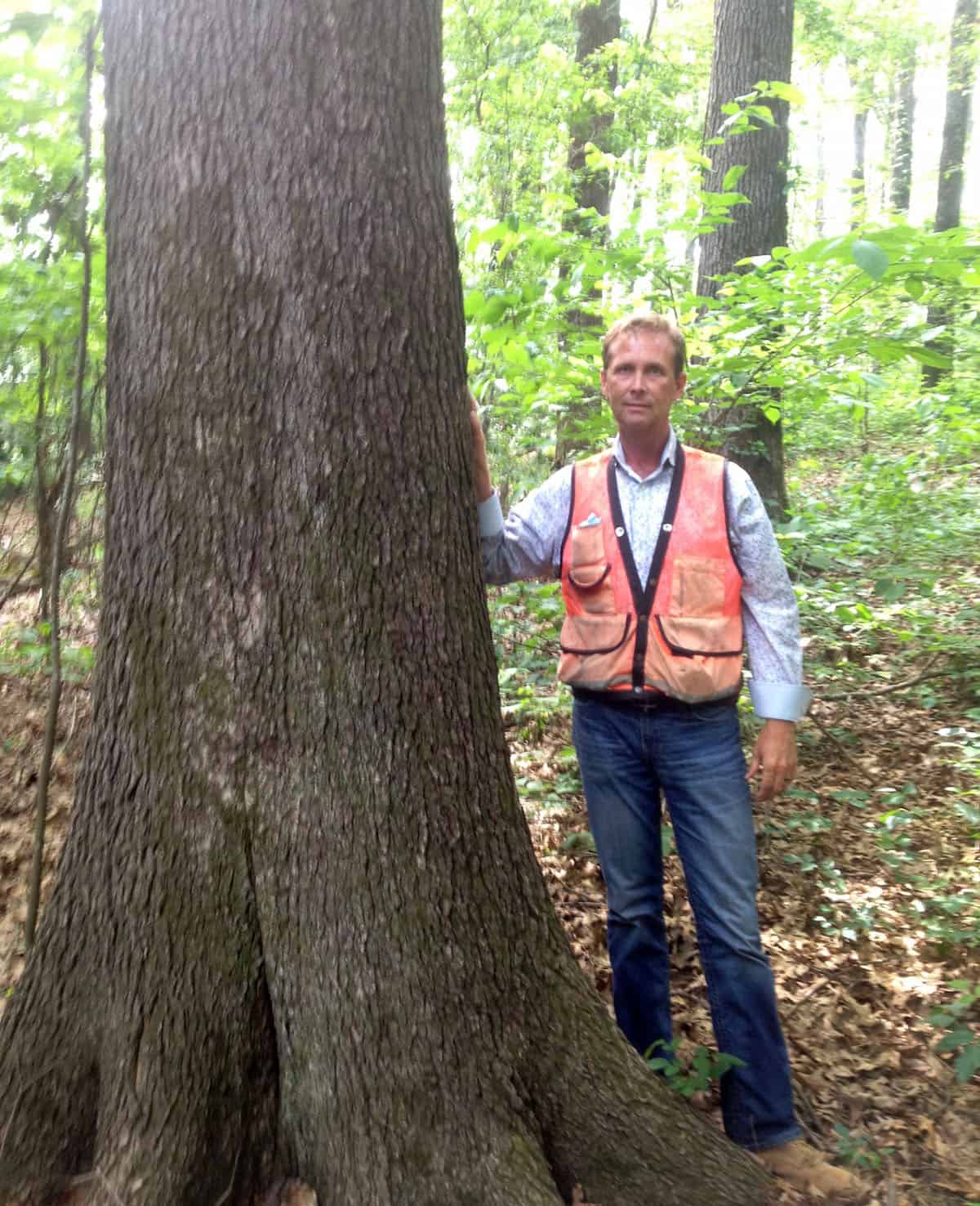 Greg Hooper Logging